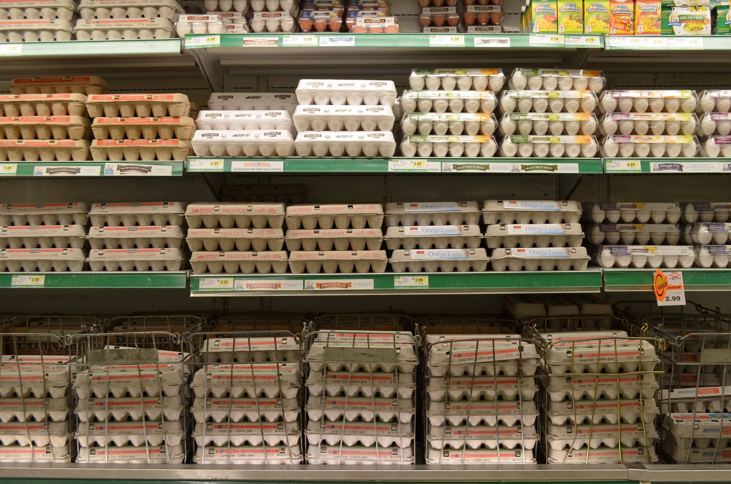 A grocery store refrigerated aisle stacked with cartons of eggs on green-trimmed shelves, yellow price tags reading between $2.19 and $4.69, and wire bins of large-size cartons on the bottom shelf.