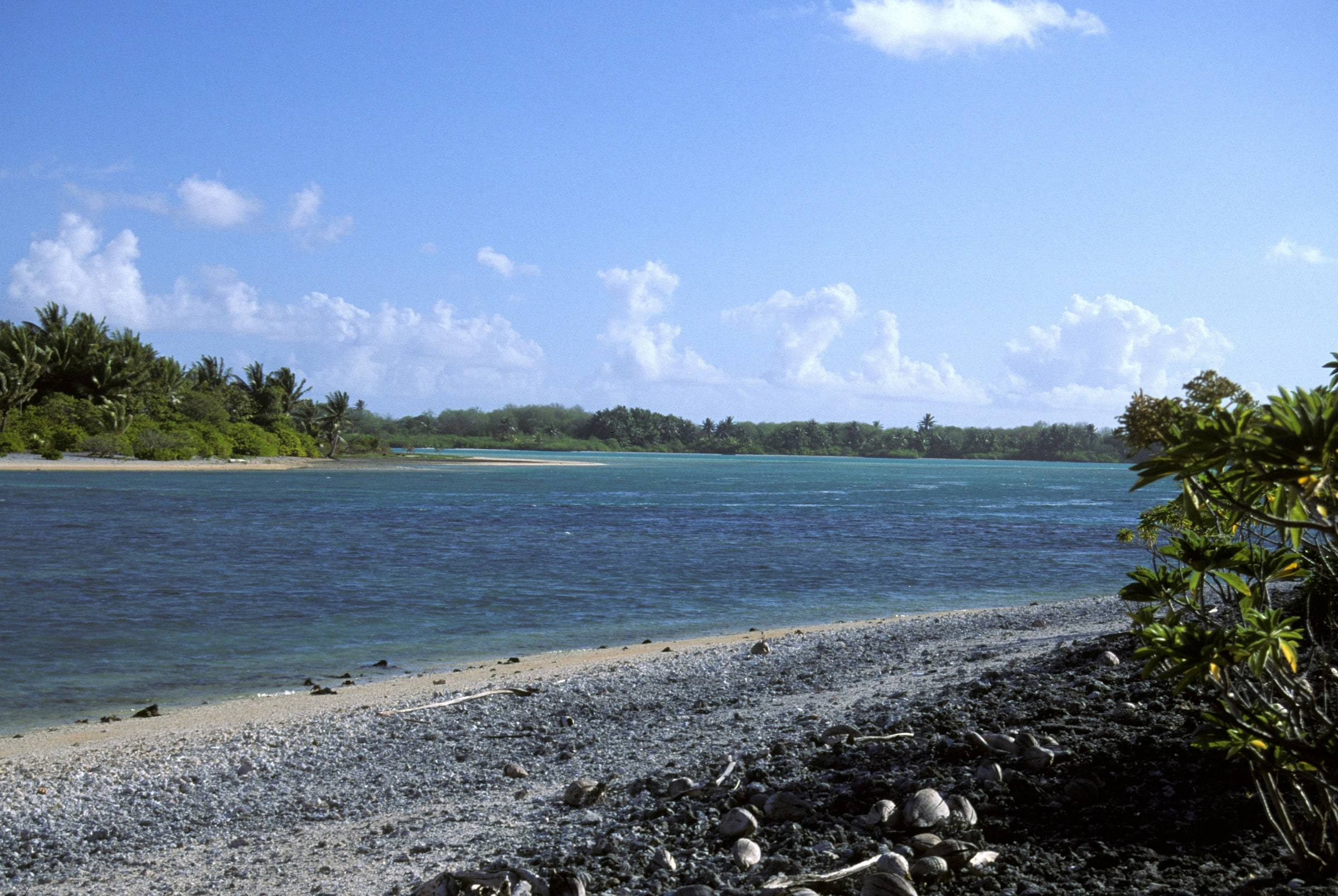 A rocky coral beach on Nikumaroro looking across the turquoise lagoon entrance toward a low line of palm trees under a blue sky with white clouds.