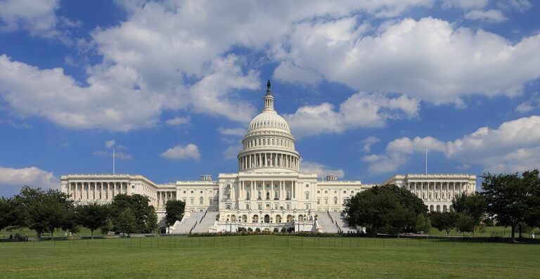 The United States Capitol building in Washington D.C.
